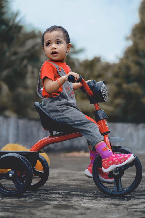 A Child riding a Bike Toy 