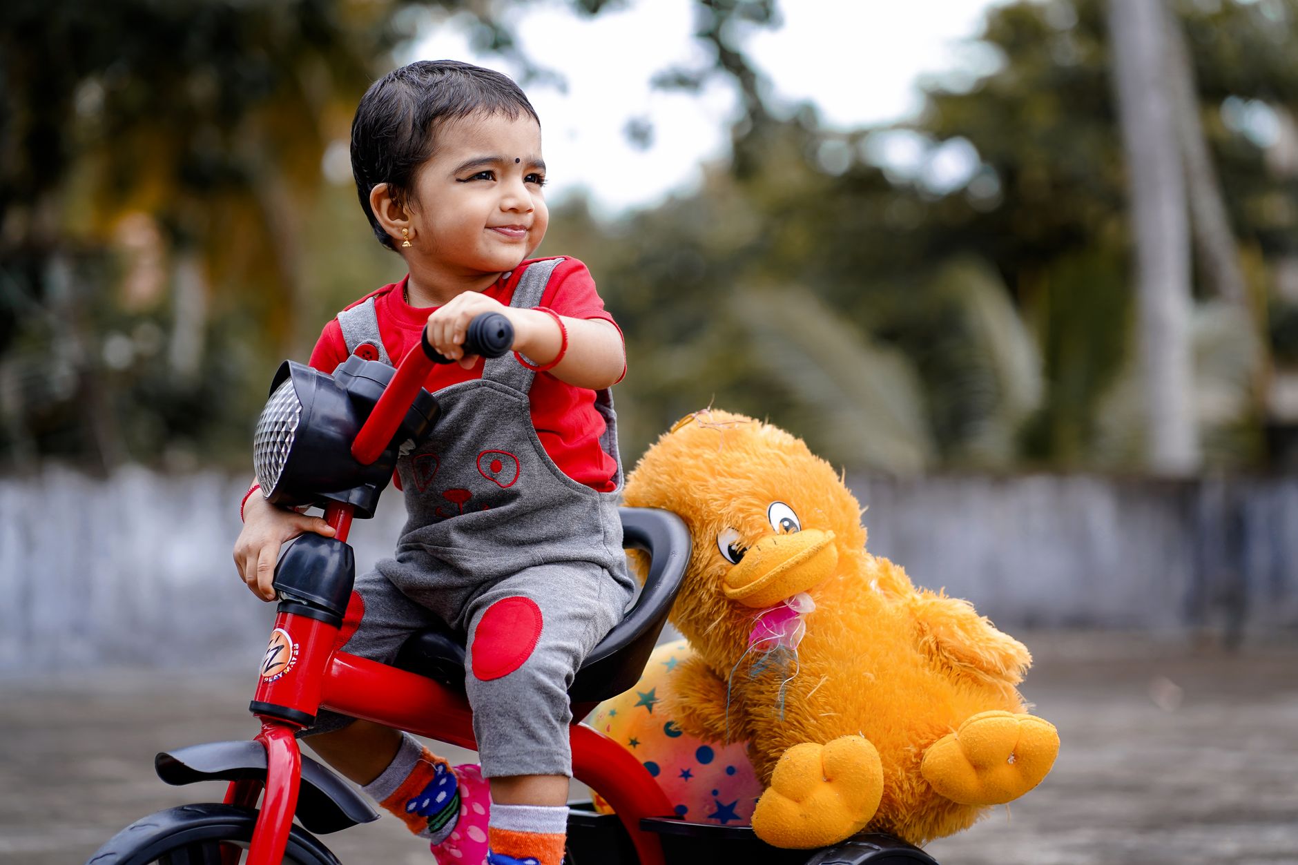 A joyful child rides a red tricycle with a stuffed toy duck in a playful outdoor setting.