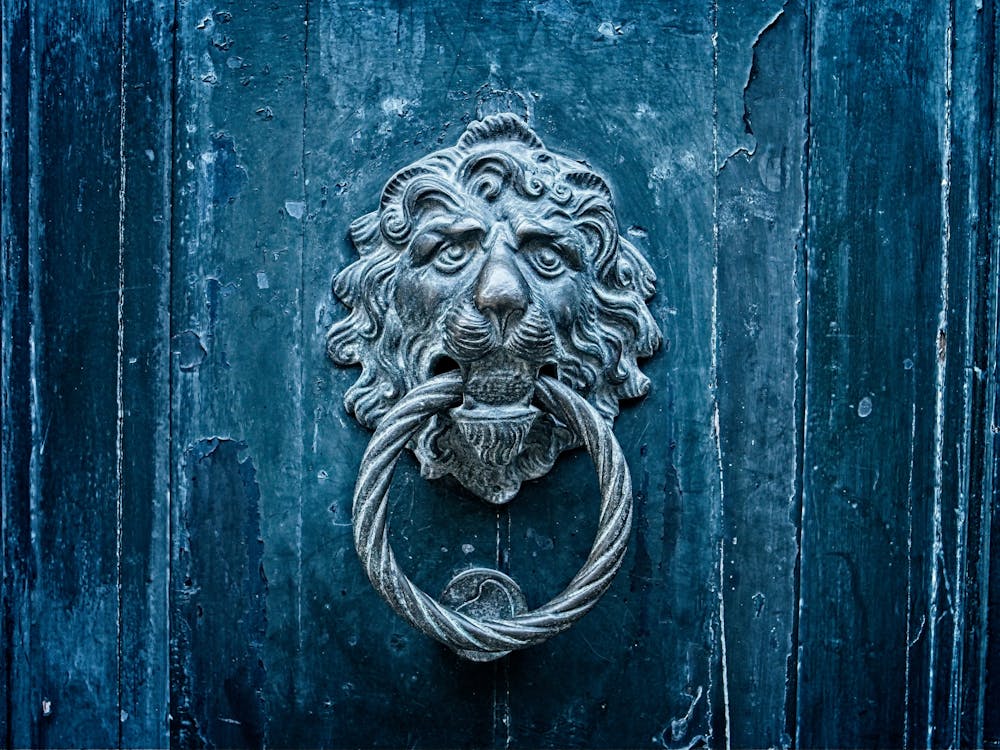Gratis lagerfoto af dørklokke, løve