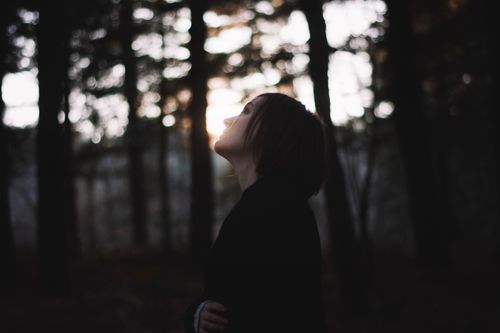 Free Silhouette of a woman in a forest during twilight, looking upwards with soft sunlight filtering through trees. Stock Photo
