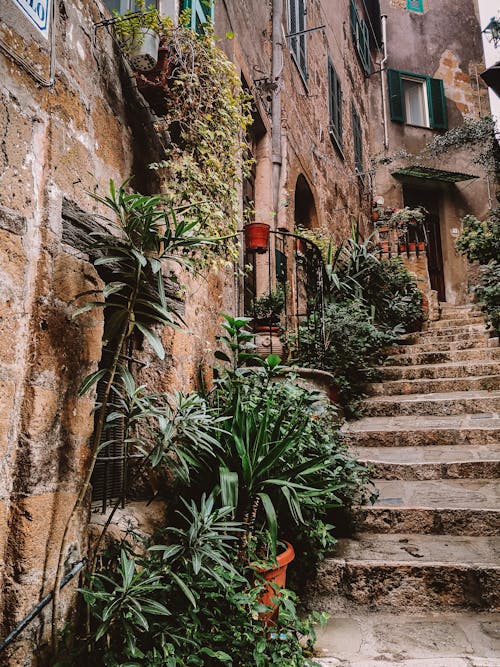 Free Cobblestone Staircase with Plants beside  Stock Photo