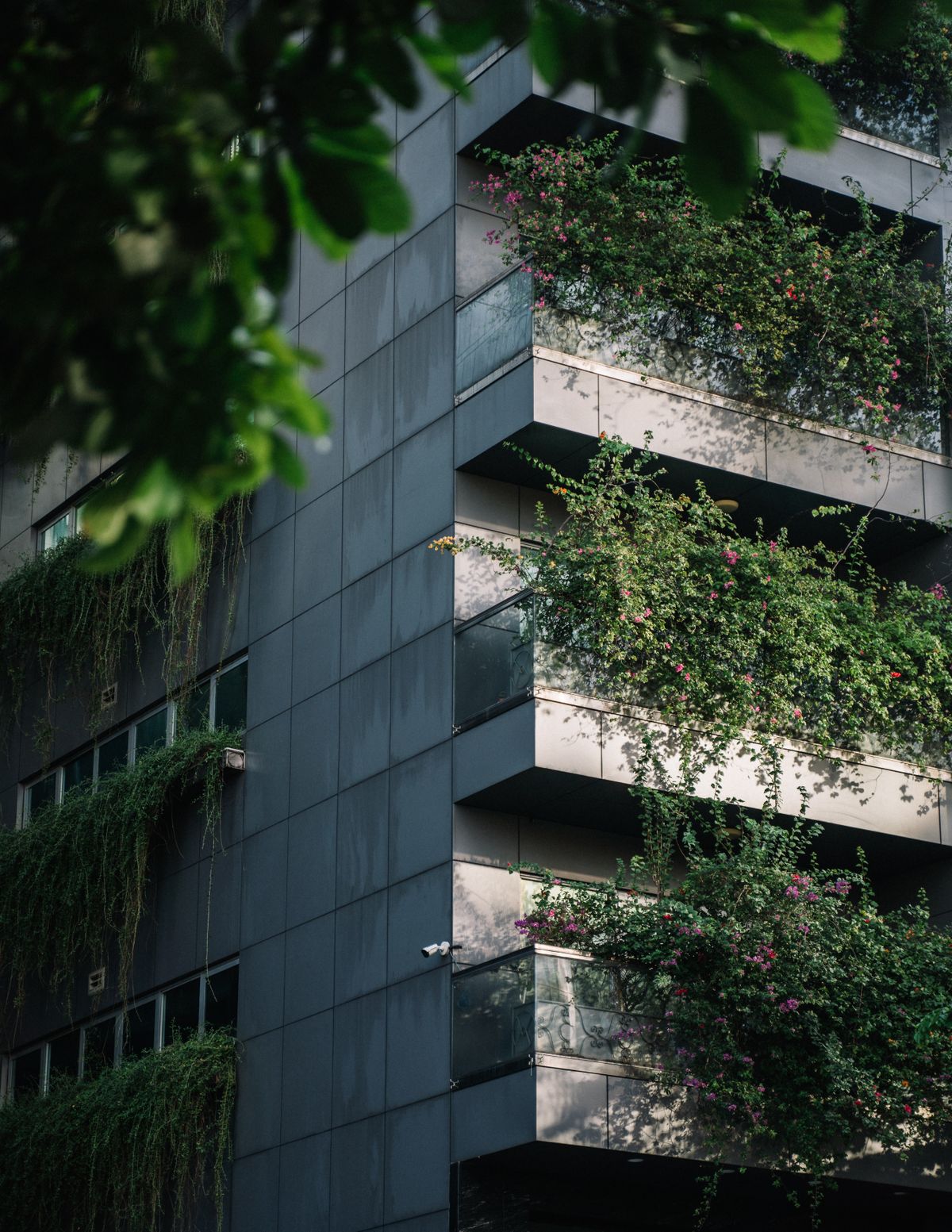 Sustainable green architecture luxury apartment