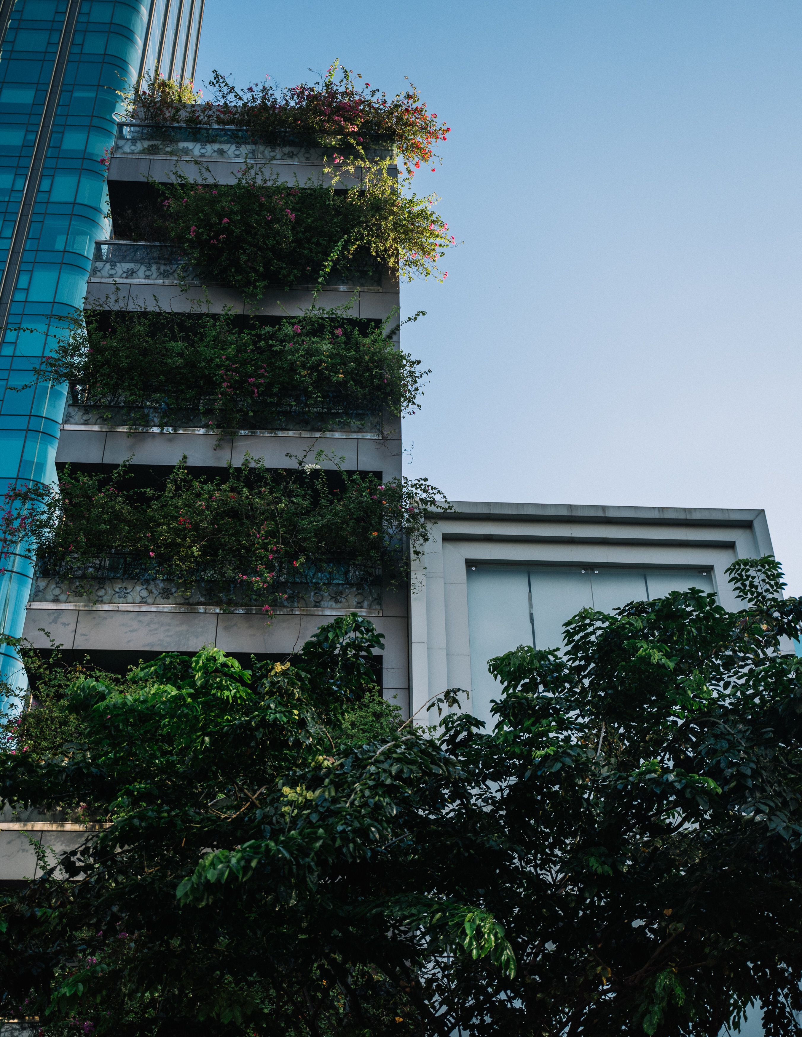 这座现代建筑拥有垂直花园的外观，郁郁葱葱的植物为城市建筑增添了生机