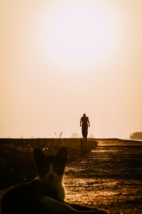Silhouette of Man walking on Pavement 