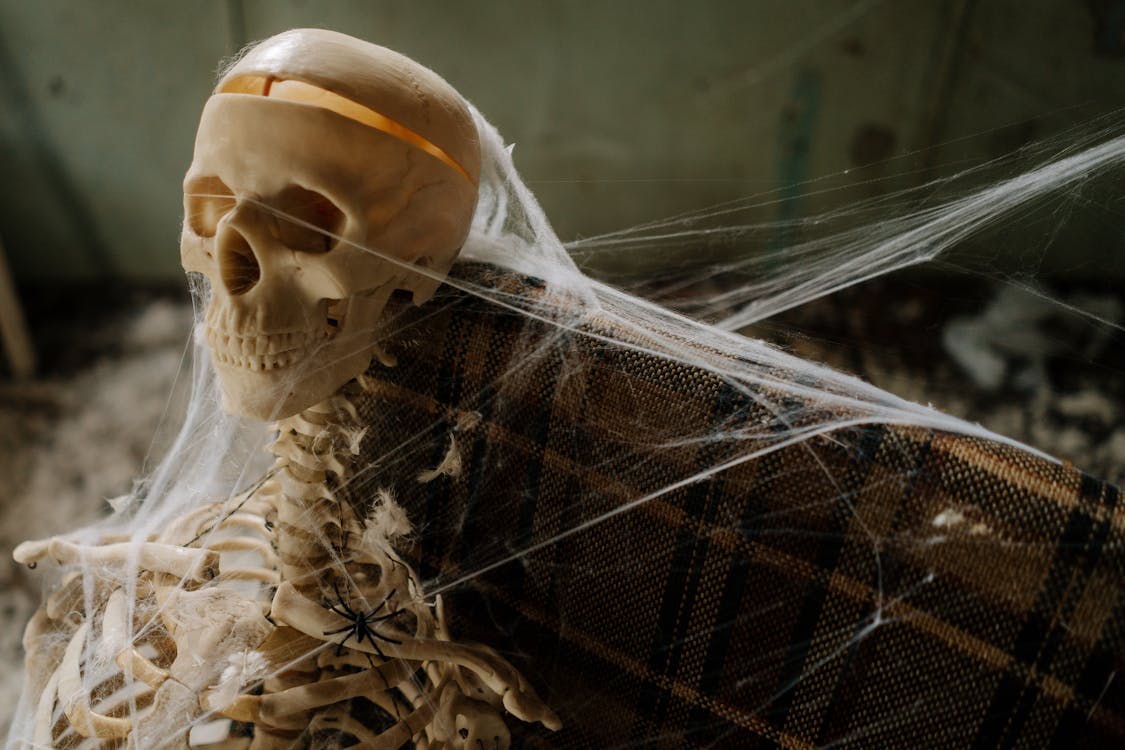 Free Skeleton Covered in Spider Web Stock Photo
