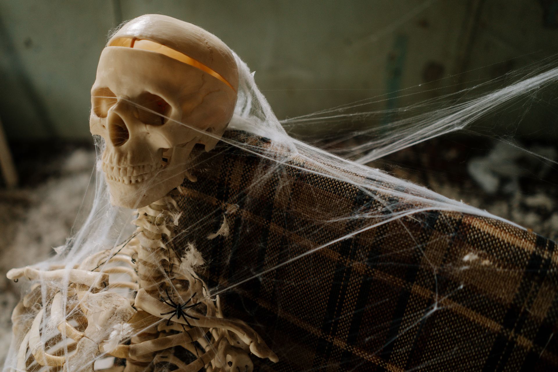 Skeleton Covered in Spider Web