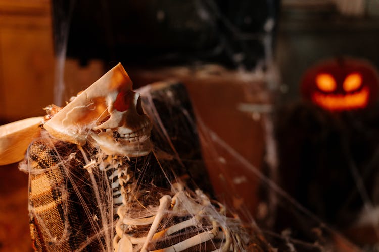 A Skeleton Covered With Spider Web