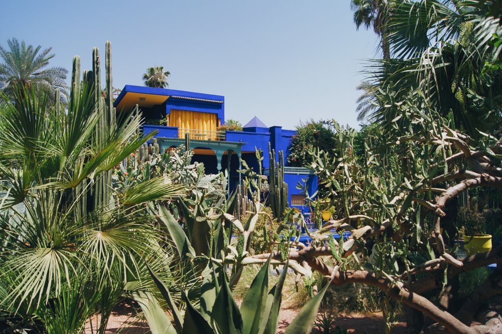 Pabellón azul cobalto entre cactus en los Jardines Majorelle de Marrakech