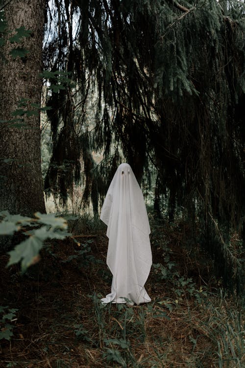 Free Person in Ghost Costume  Stock Photo