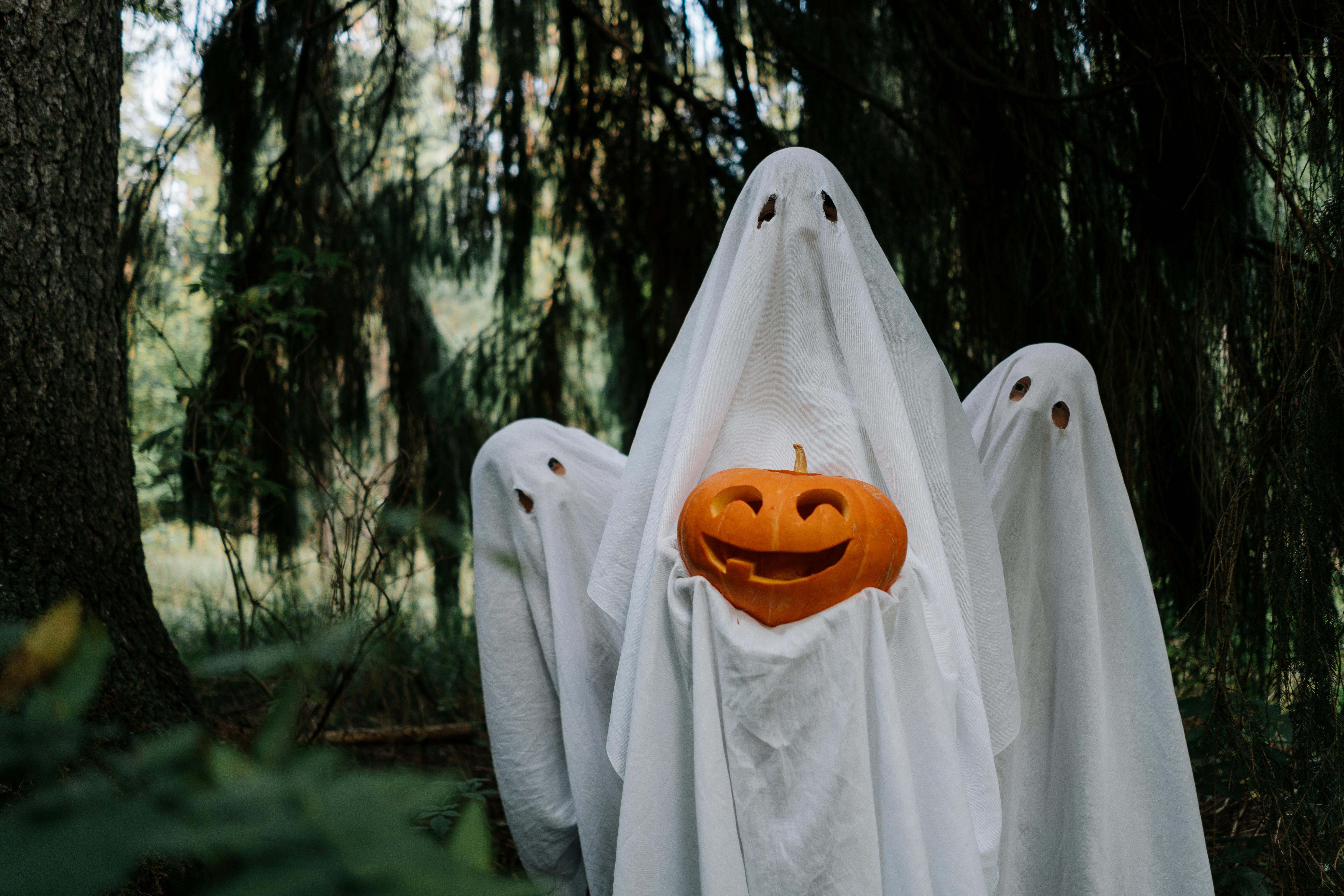 6,000+ Best Halloween Pictures · 100% Free Download · Pexels Stock Photos