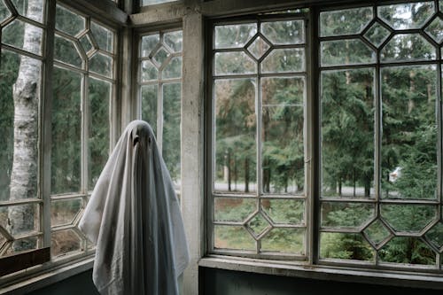 Person in Ghost Costume standing beside Windows