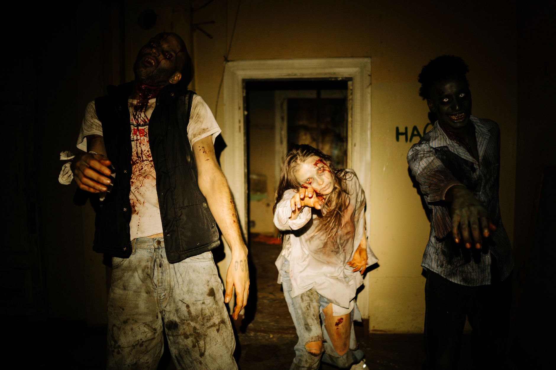 Zombie Night Terror Tier List - Best Characters & Builds