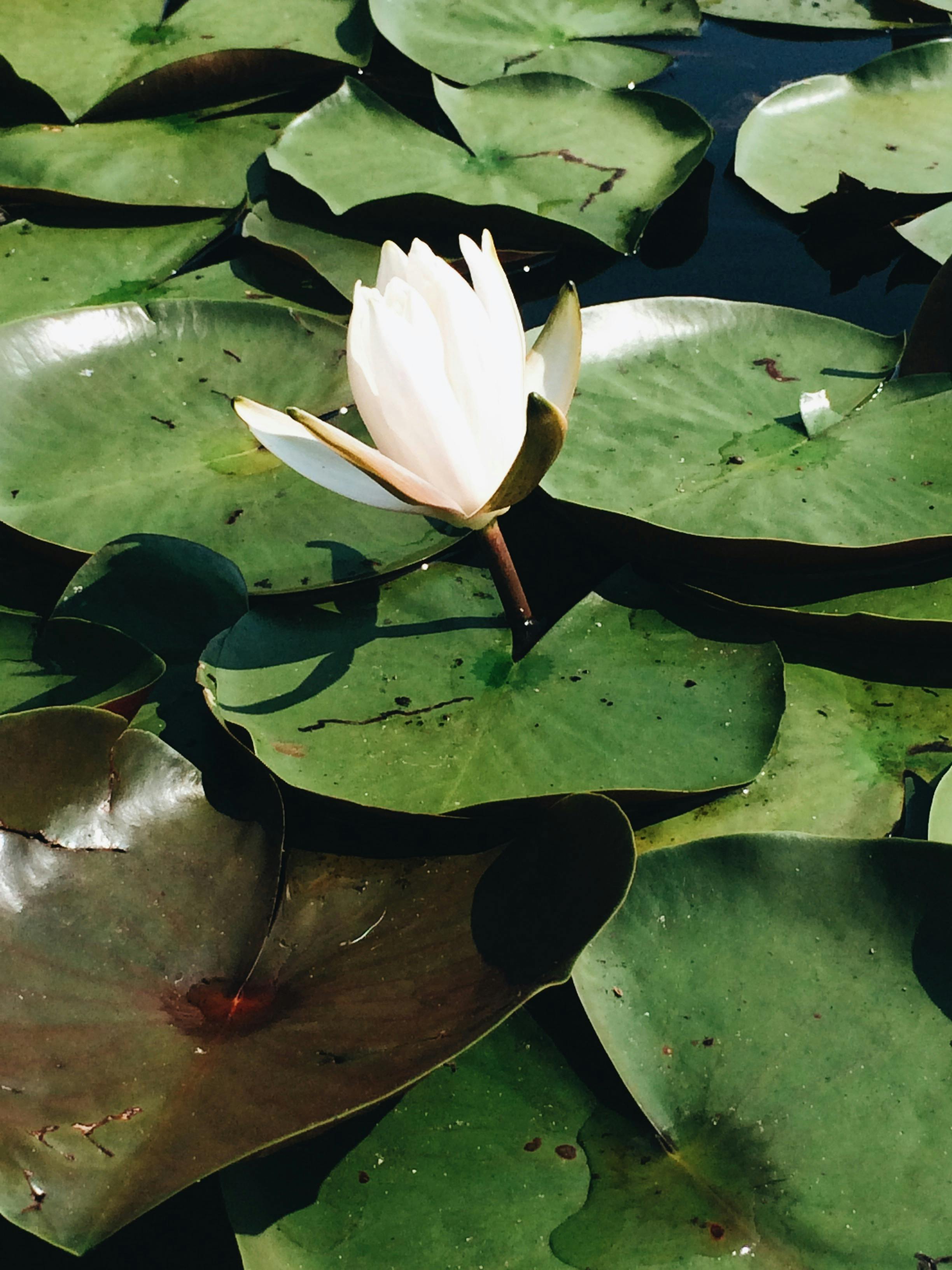 Take a Tour of Benny Blanco’s Chelsea Condo... Future Starr