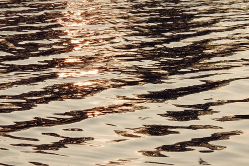 Free Rippling water reflecting the warm golden sunlight creating a serene ambiance. Stock Photo
