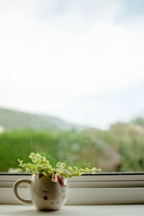 창에 녹색 식물