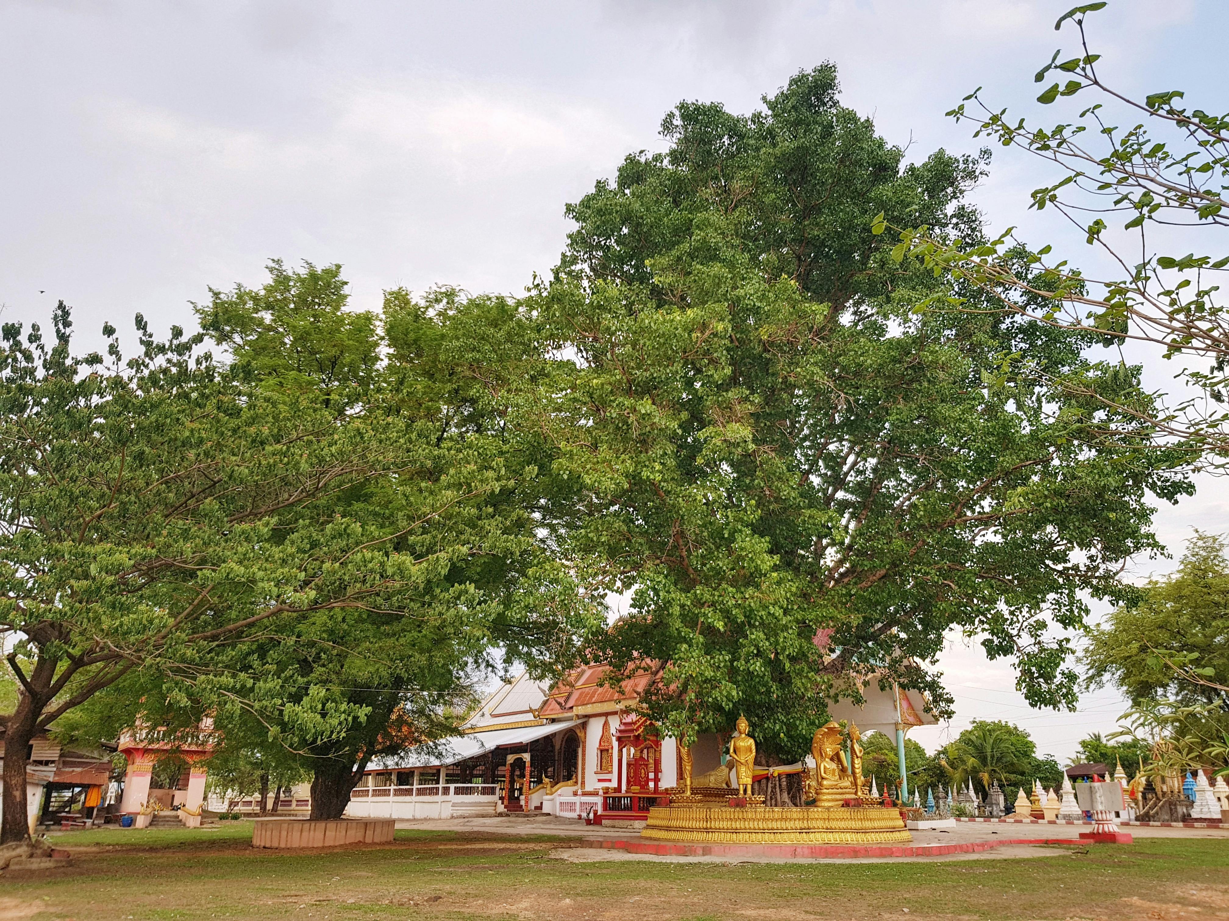 quantum circuit and classical computer intertwined