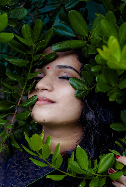 Безкоштовне стокове фото на тему «впритул, Індійська жінка, листя»