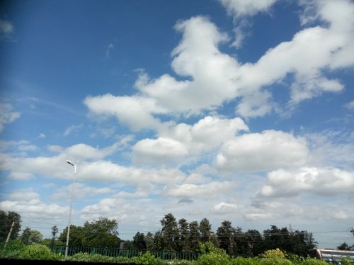 Free stock photo of bluesky Stock Photo