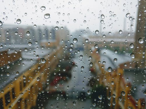 Δωρεάν στοκ φωτογραφιών με βρεγμένος, βροχή, γκρο πλαν Φωτογραφία από στοκ φωτογραφιών