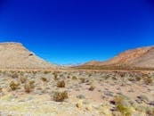 广阔的沙漠风景如画，蔚蓝的天空下点缀着零星的植被