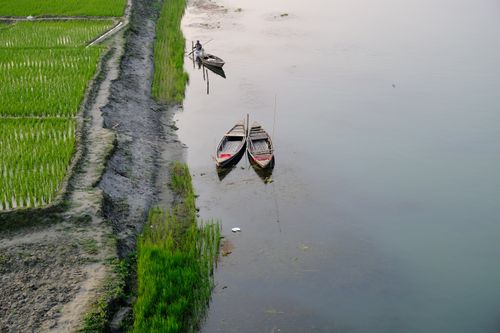 Free Aerial view of traditional boats moored on a serene river beside lush green fields. Stock Photo