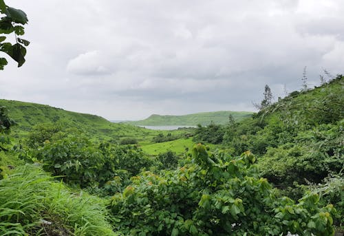 Gratis stockfoto met mooi, natuur