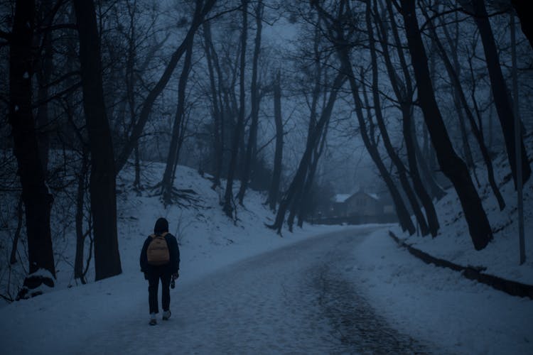 Unrecognizable Person Walking In Snowy Forest