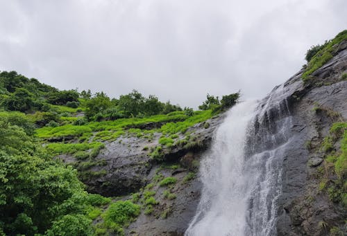 滝, 自然の無料の写真素材