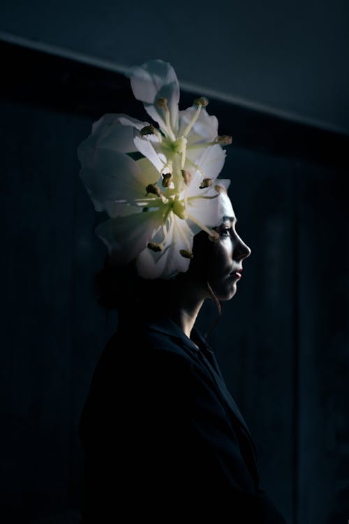 bezplatná Základová fotografie zdarma na téma aroma, bez emocí, botanický Základová fotografie