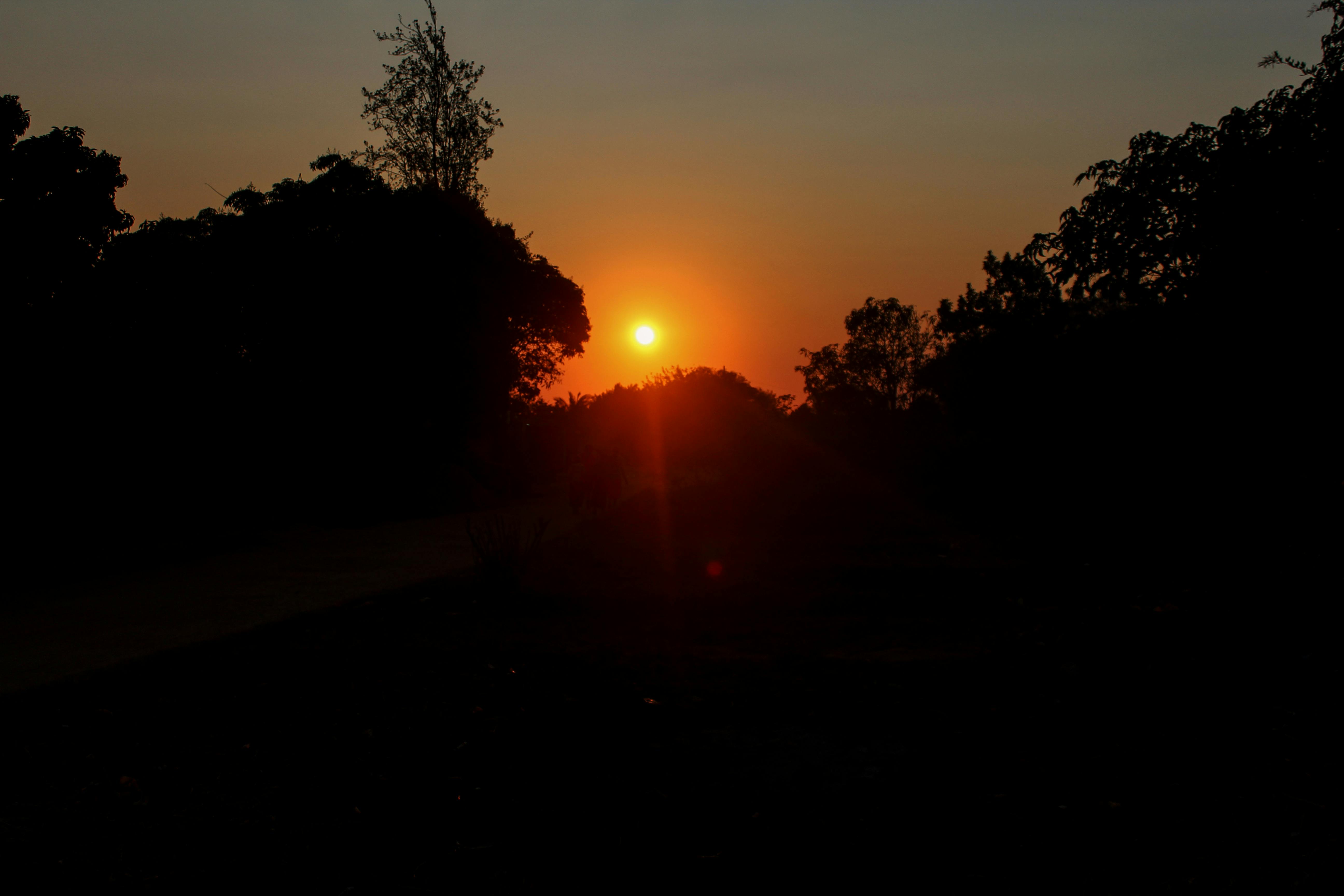 Free stock photo of Early morning shoot