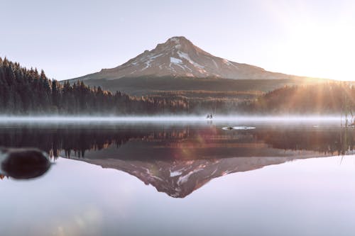 Amazing landscape of Mount Hood reflecting in Trillium Lake surrounded by lush coniferous trees against cloudless sky on sunny day in Oregon