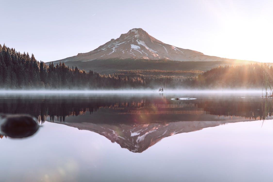 Free Amazing landscape of Mount Hood reflecting in Trillium Lake surrounded by lush coniferous trees against cloudless sky on sunny day in Oregon Stock Photo