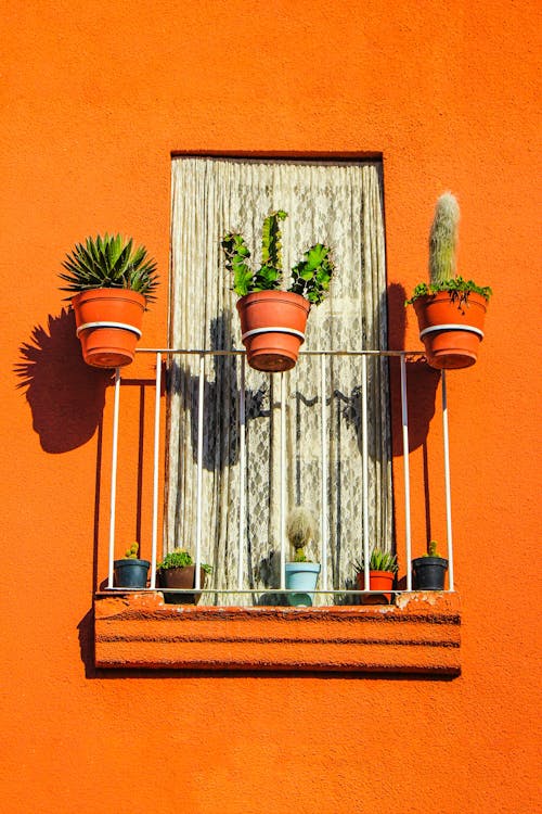 Free Small balcony decorated with exotic potted houseplants Stock Photo