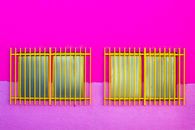 Symmetric windows with grids on pink wall