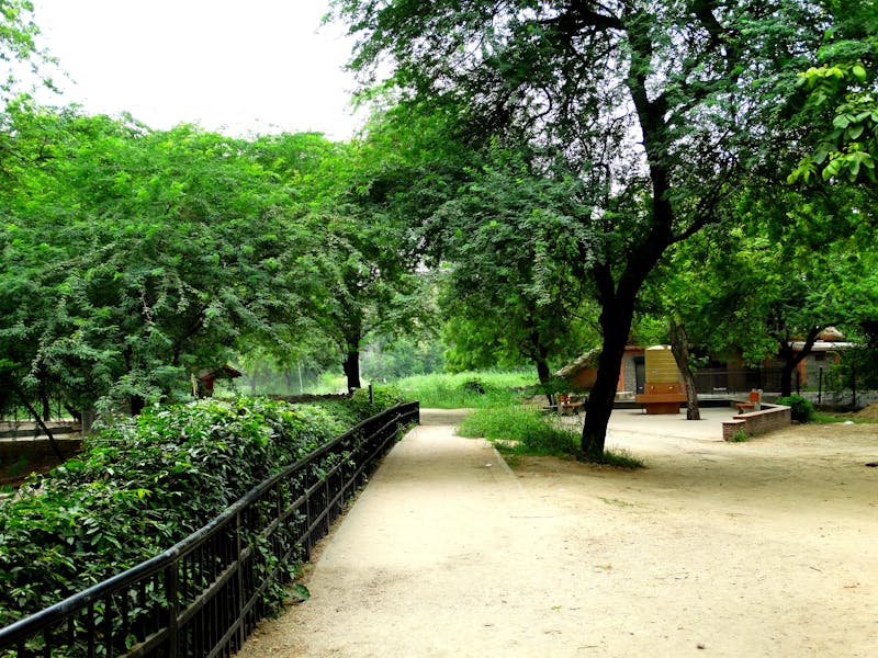 Clientes adultos en banco