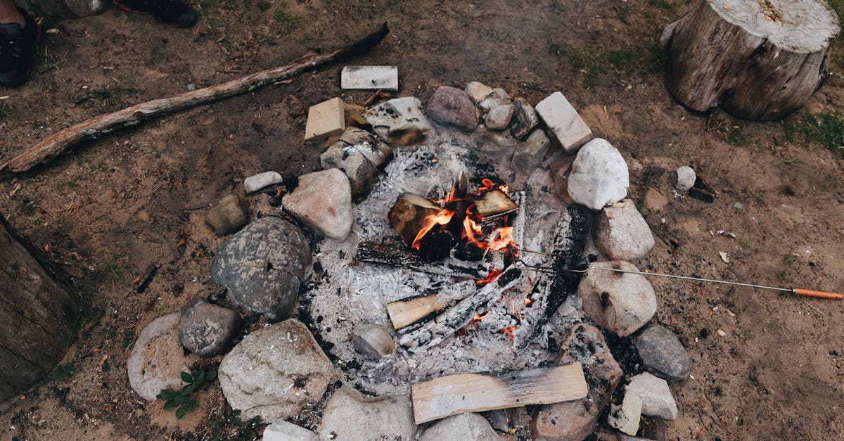 Free stock photo of camp, camping, fire