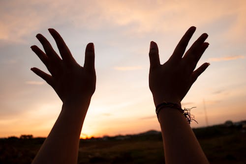 Free stock photo of contrast light, evening sky, hands up