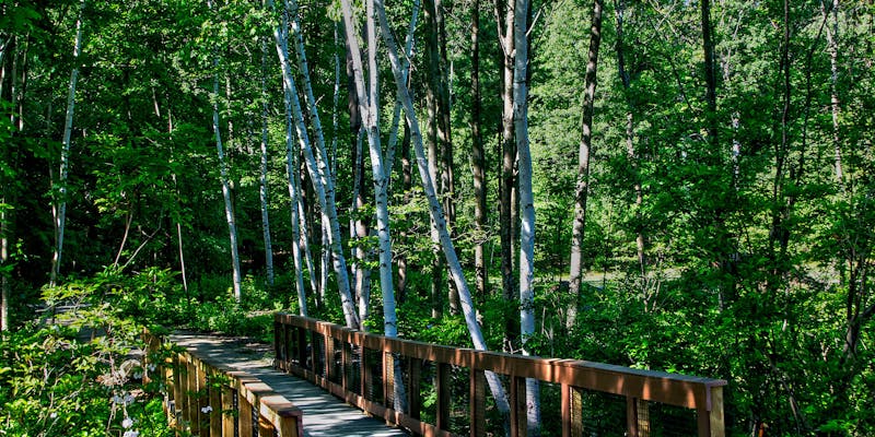 Cara Menggunakan ChatGPT untuk Content Marketing