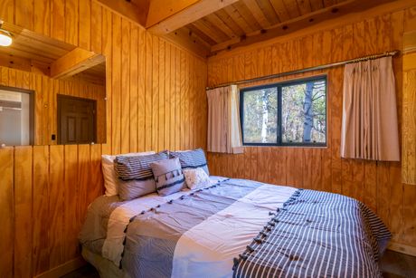 Pine-panelled cabin bedroom with a striped quilt and a window onto birch woods — photo by Get Lost Mike on Pexels