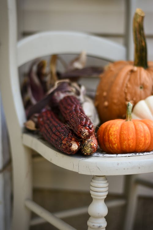 Squash and Corn on a Wooden Chair