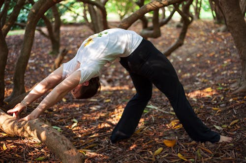 Free A Woman Bending Backwards on a Tree Branch Stock Photo