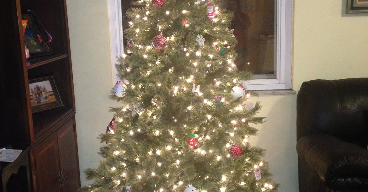 Free stock photo of christmas tree