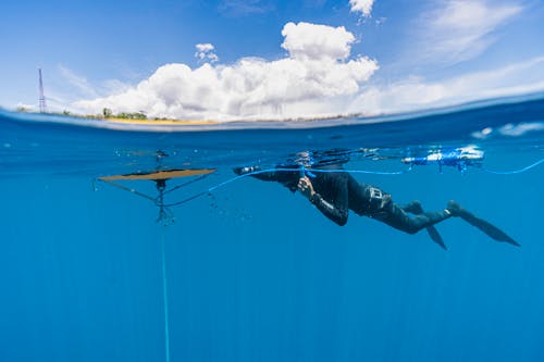 A Person in Black Wet Suit 