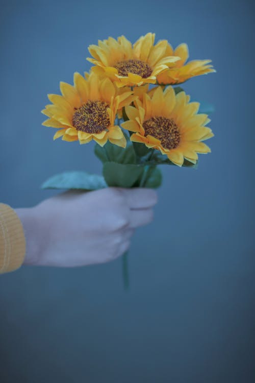 Person showing bright yellow flowers