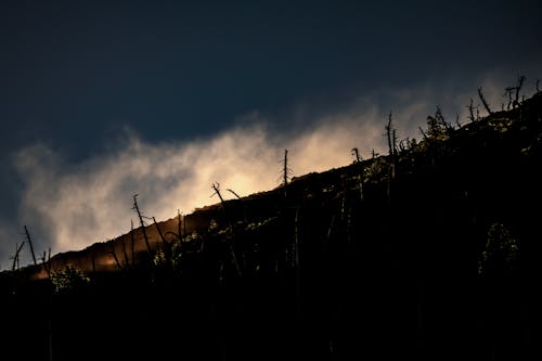 Gratis stockfoto met bosbrand, donker en humeurig, gloeiend