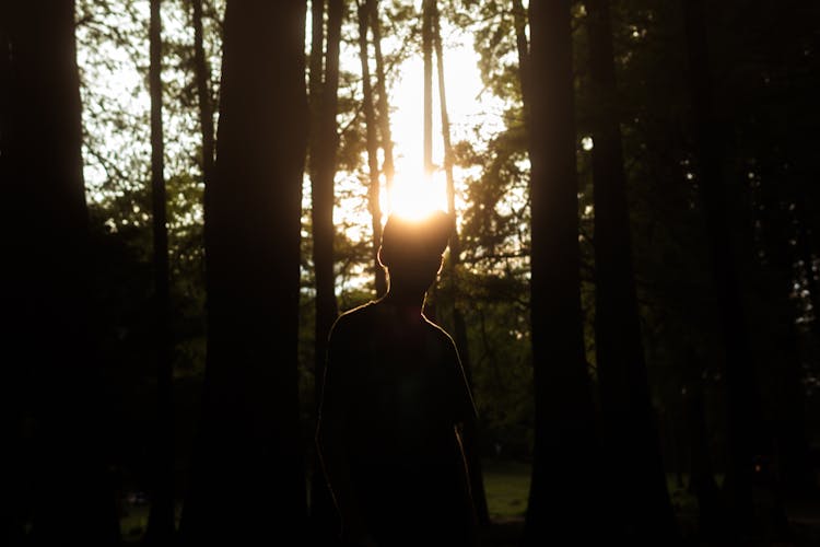 Silhouette Of Man Standing In The Forest During Sunset