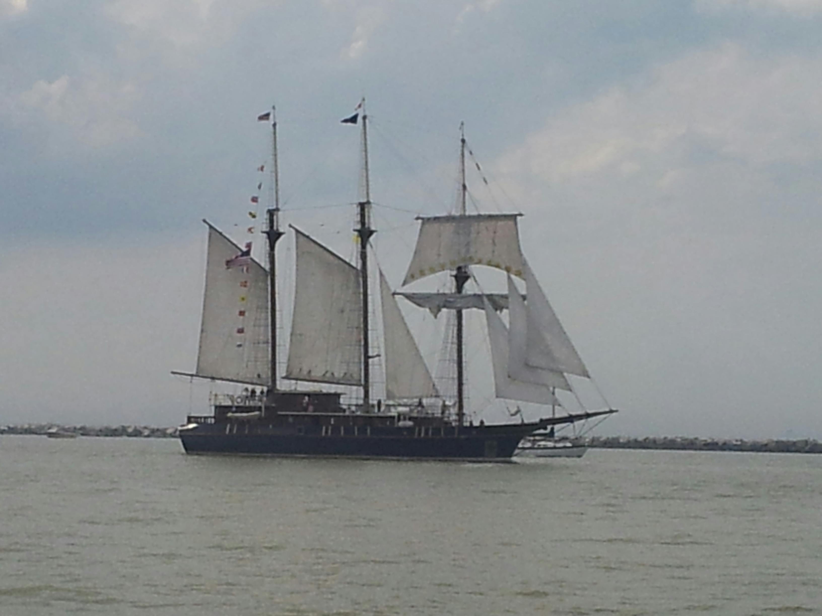 Kostenloses Foto zum Thema: freiheit, herzlich willkommen, holzstufen