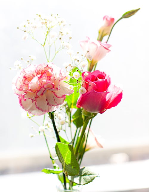 Bunch of Flowers in Blur Background
