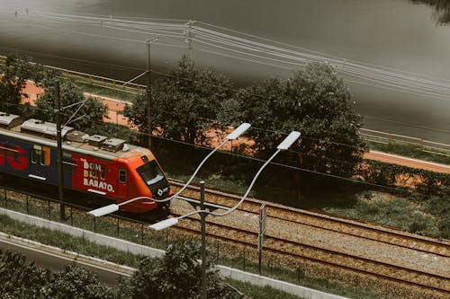 ハイアングルショット, 列車, 木の無料の写真素材