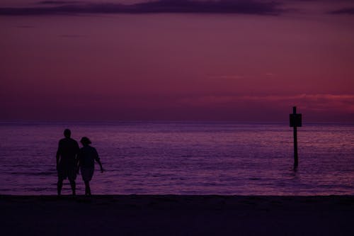 Silhouette of People Walking on the Shore of a Beach
